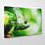 Wrapped Canvas Print-19091688