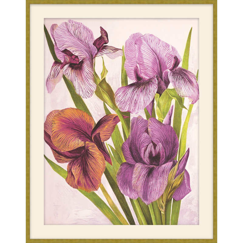 Jewel Blooms 7 Print, 39.5" H x 31.5" W
