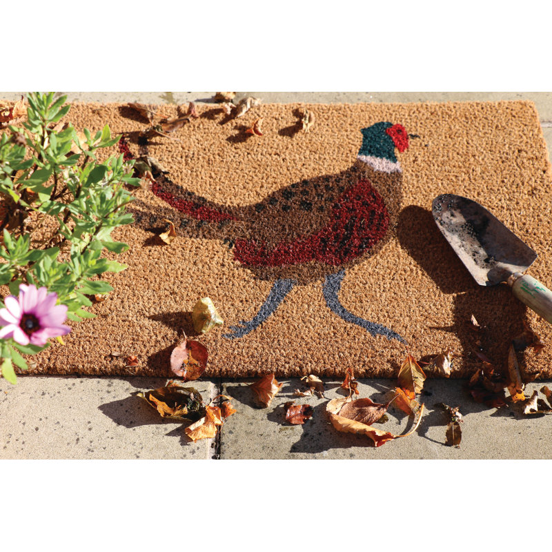 Jocelynn Non-Slip No Pattern Doormat, 45cm W x 75cm L