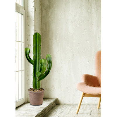 44'' Faux Cactus Plant in Pot