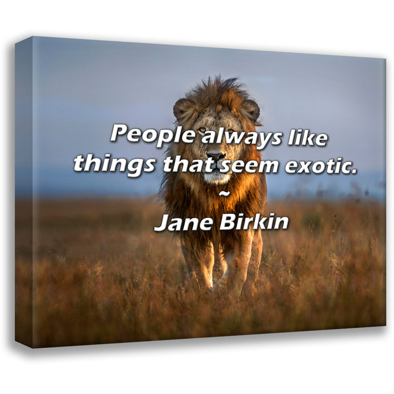 Citation de Jane Birkin: Les gens aiment toujours les choses qui semblent exotiques., H 20 po x l 24 po