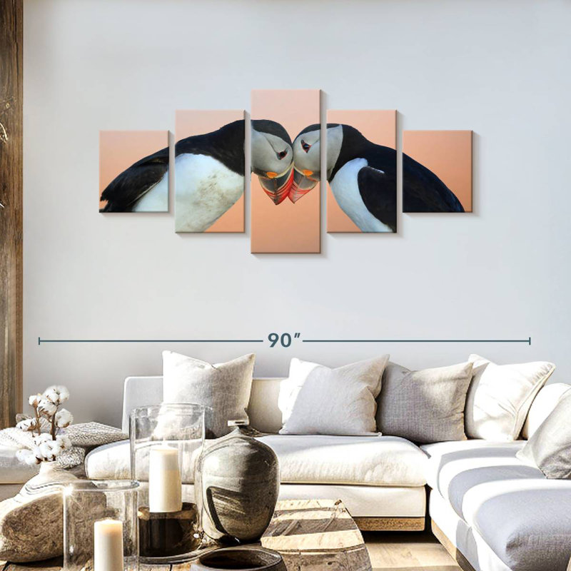 Common Puffin Birds