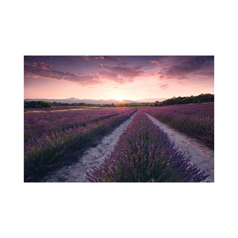 Lavender Dream by Stefan Hefele - No Frame Gallery-Wrapped Canvas Giclée on Canvas, 45.72cm H x 66.04cm W