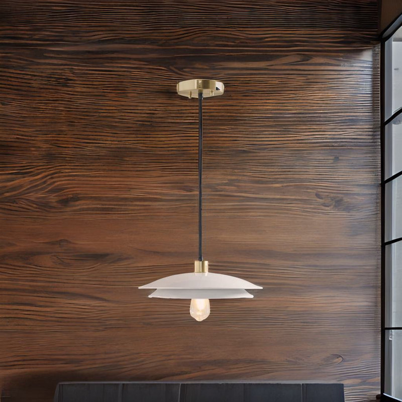Luminaire suspendu 1 lumière Elyzabel