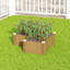 Raised Garden Bed