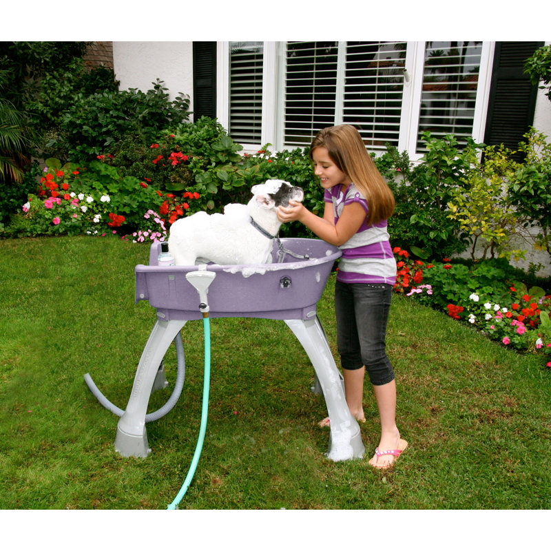 Medium Lilac Elevated Plastic Dog Bathing Tub