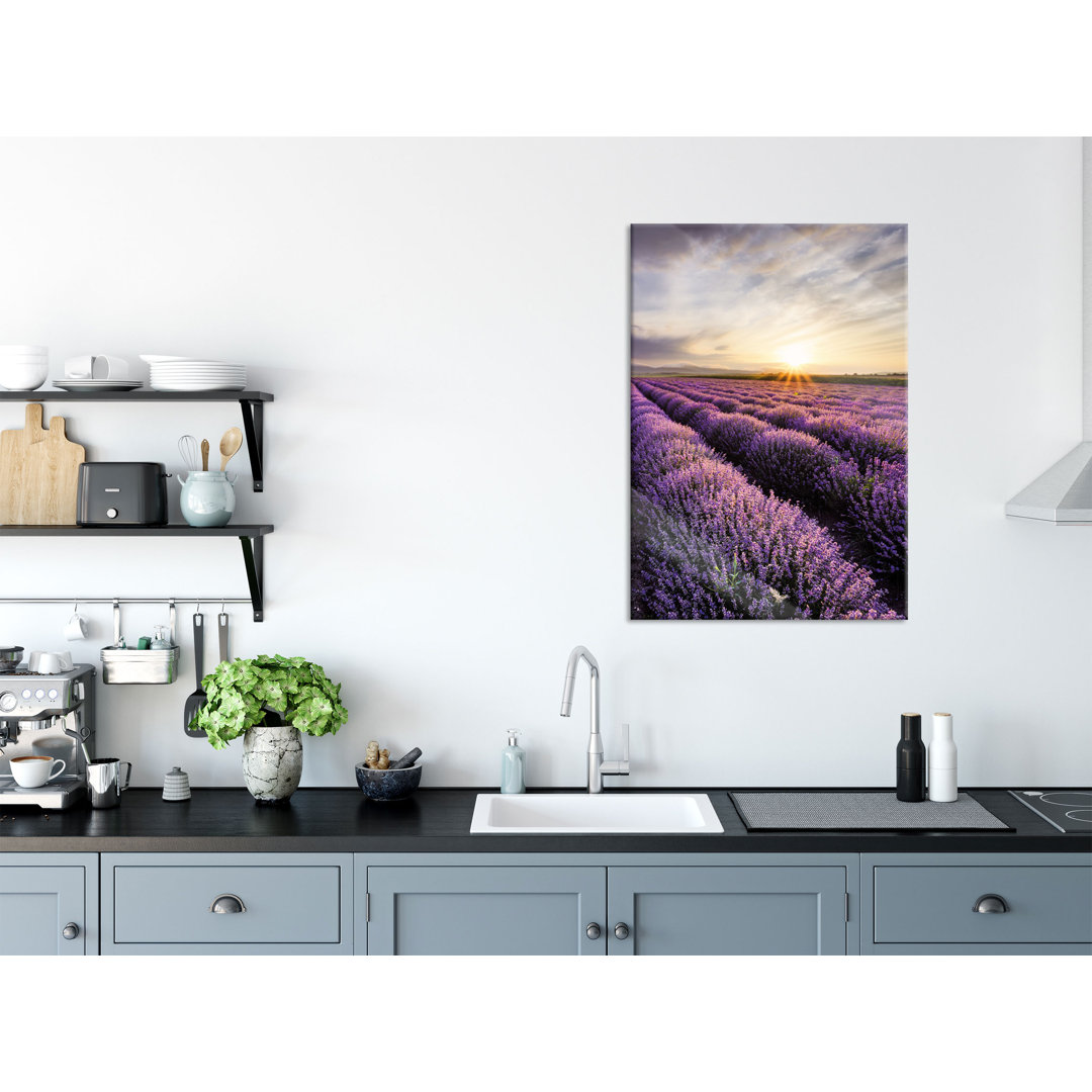 Glasbild | Wandbild Auf Echtglas | Traumhafte Lavendel Provence | 2 lila LFs8706