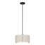 Exos 3 - Light Unique/Statement Drum Pendant-13800925-93528027-93528034