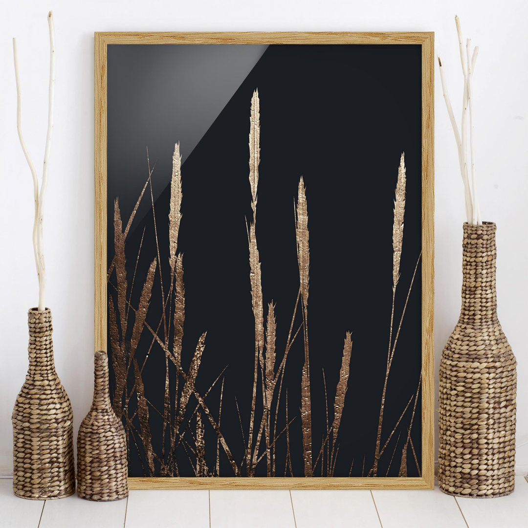 Gerahmtes Poster Flora – Golden Reed