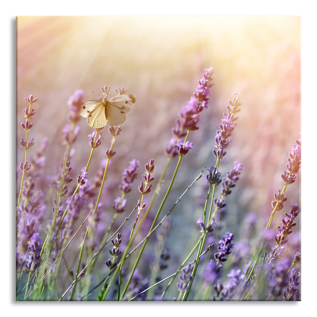 Glasbild Quadratisch  Wandbild Auf Echtglas  Schmetterlinge Auf Lavendelblumen  Aufhängung Und Abstandshalter LQ9609