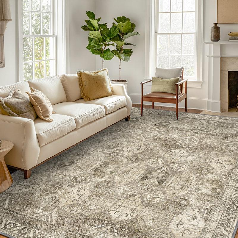  Fayanna Oriental Machine Washable Area Rugs with Non-Slip Backing, Rectangle 5' x 7'