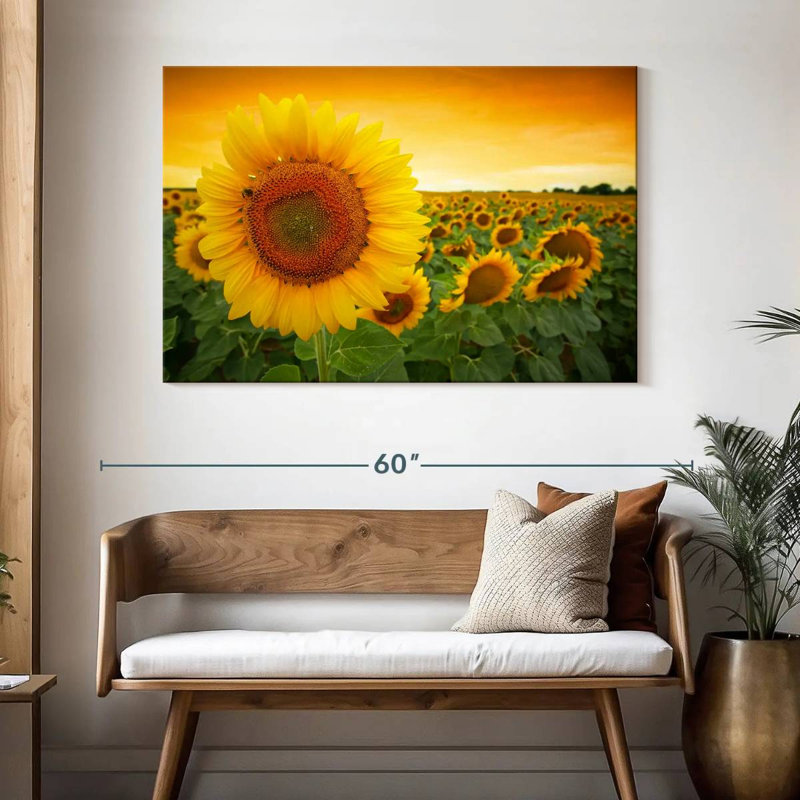 Tournesol Harnek, H 32 po x l 48 po