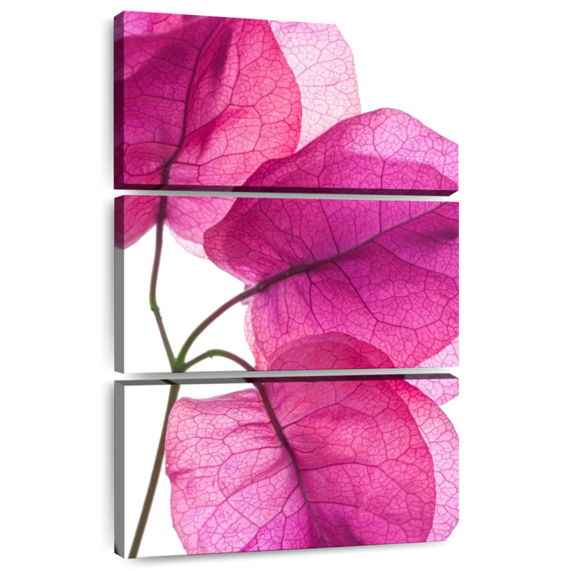 Harnek Bougainvillea, 38" H x 24" W