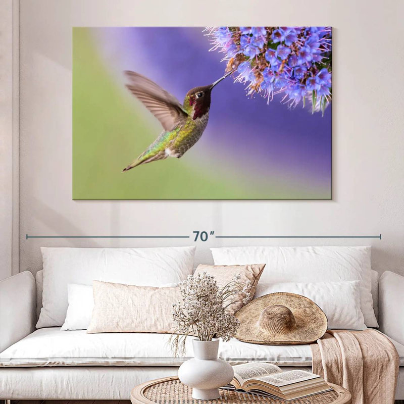 Nectar Brampt sirotant un colibri, H 34 po x l 51 po