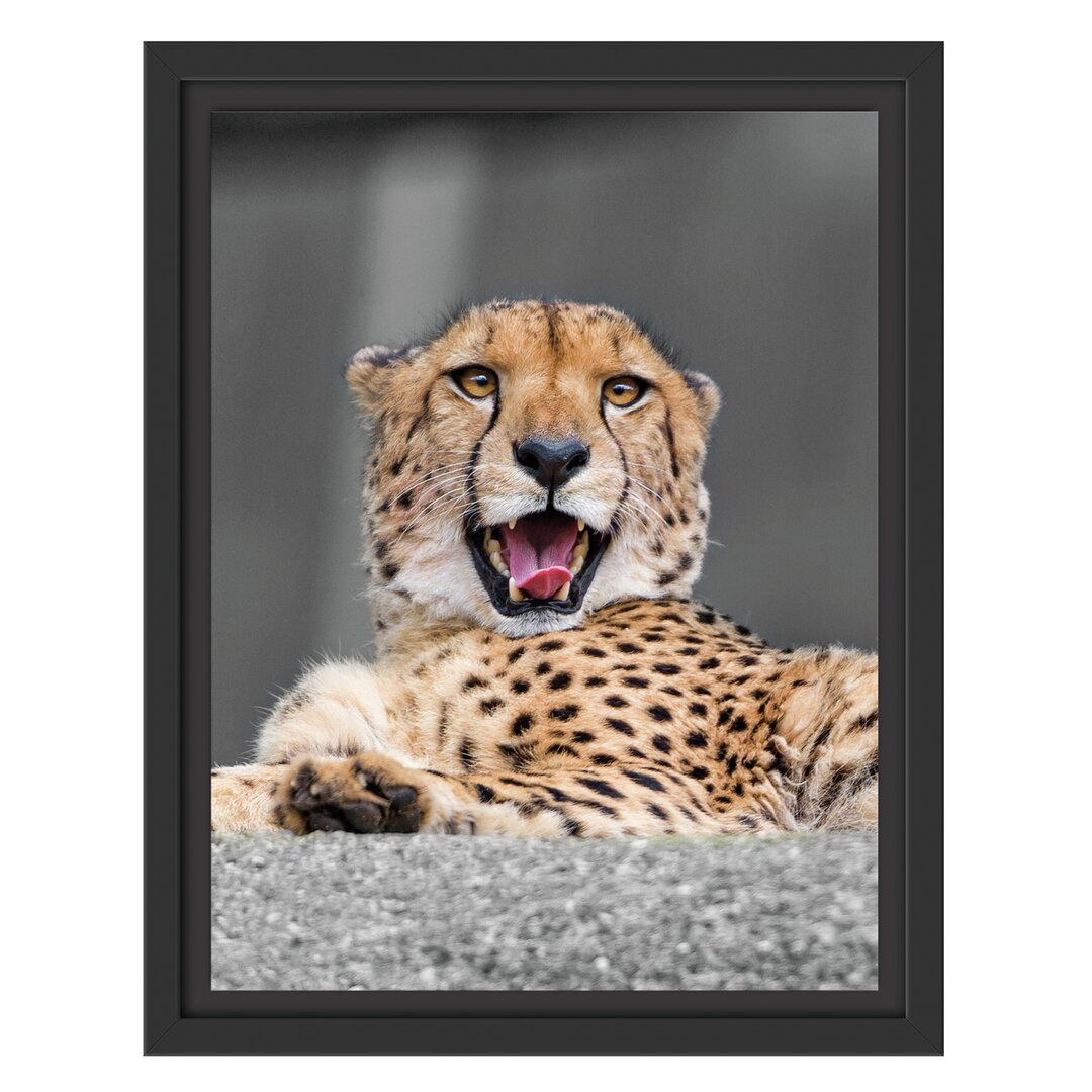 Gerahmtes Wandbild schöner Gepard