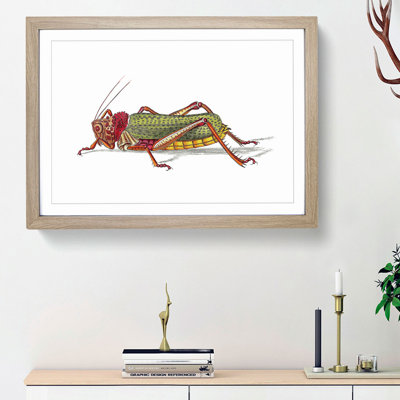 Granulated Locust by George Shaw - Framed Print