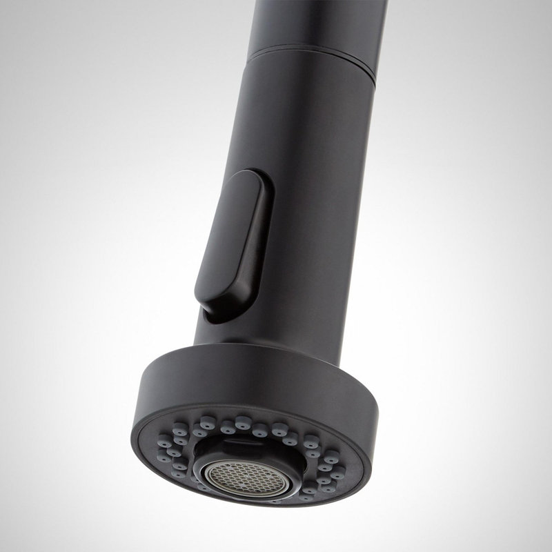 Ridgeway Pull-Down Kitchen Faucet with Deck Plate - Matte Black, Matte Black
