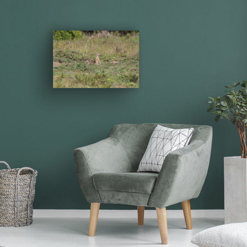 Art sur toile, Bob Langrish, H 12 po x l 19 po