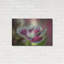 Art mural luxueux «Macro Flowers 05» par Gordon Semmens, 36 po x 24 po-735019237