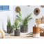 Niverville Plant Pot