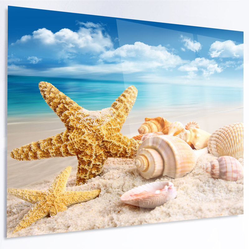 «Starfish and Seashells on Beach», photographie, H 38 po x l 38 po x P 1 po, Métal