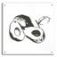 «Avacado II BW» par Chris Paschke-1584521923