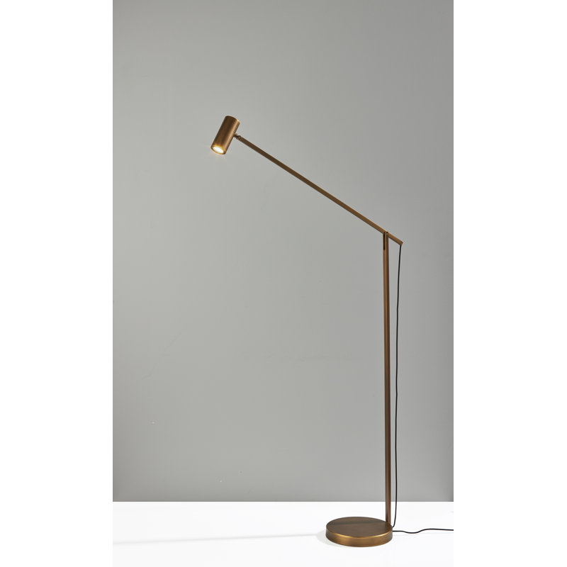 Newman 58'' LED Task Floor Lamp, Bronze Finish