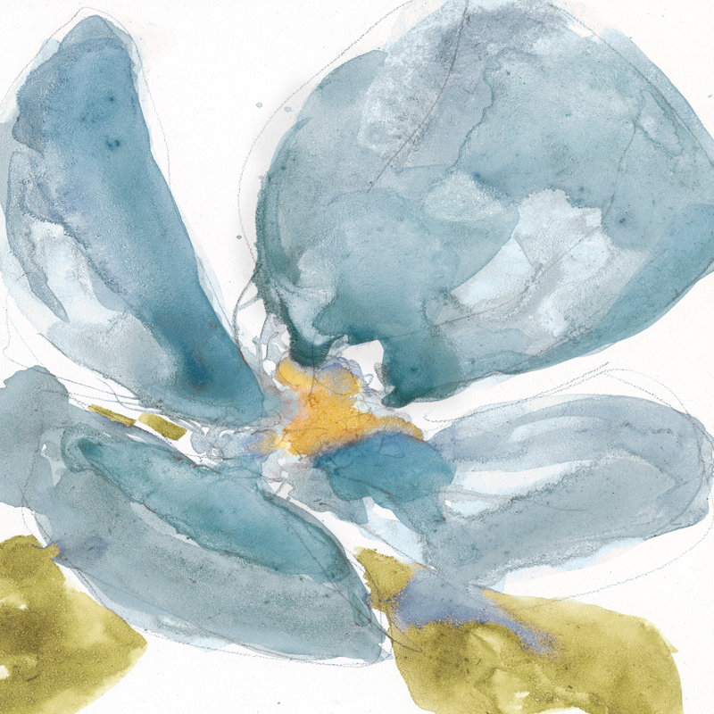 Flower Splash II by Jennifer Goldberger - Wrapped Canvas Painting, 51cm H x 51cm W x 3.8cm D