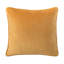 Housse de coussin décoratif en velours de couleur unie Chanasya Holland-342516424-342516426