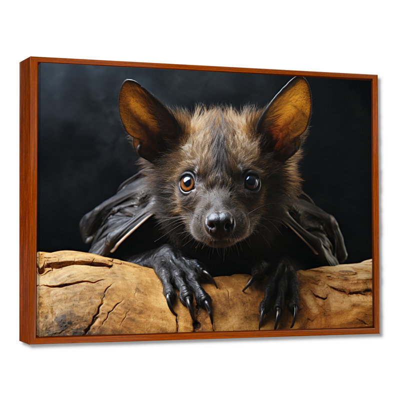 Bat Portrait I - Bat, art mural encadré, H 16 po x l 32 po, Cadre flottant brun