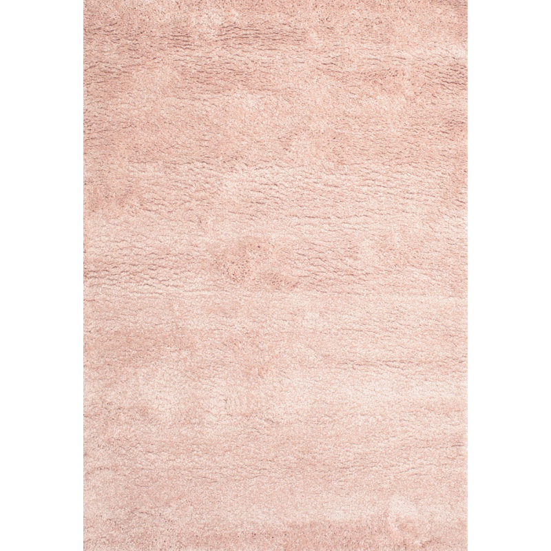 Tapis contemporain rose clair, Rectangle 5 pi x 7 pi