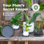 Paquet de 5 soucoupes pour plantes, plateaux ronds en plastique 5/6 / 7/8/10 pouces, résistant aux fuites pour plantes d'intérieur et d'extérieur en pot