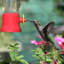 Mangeoire pour colibris Elser