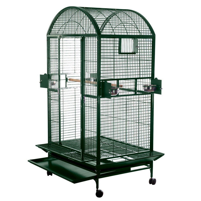 Cage XX XX, vert