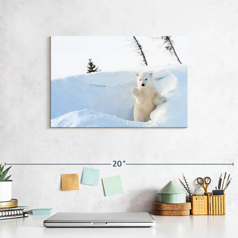 Brampt Polar Bear Cub Greeting, 8" H x 12" W