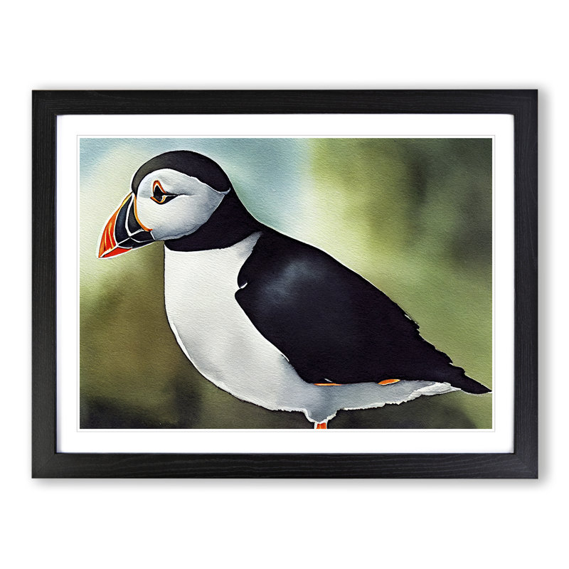Captivating Puffin Bird - Framed Print, 25cm H x 34cm W x 2cm D, Black