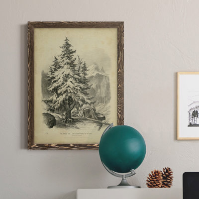 " The Spruce "