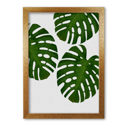 Monstera Leaf III - Print
