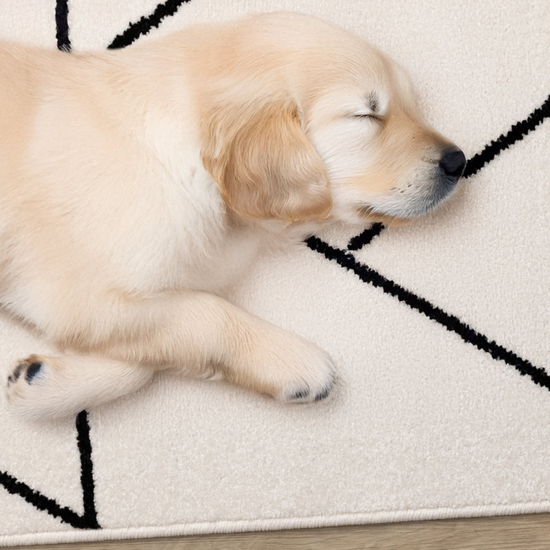 Kempst White Black Geometric Lines Area Rug, Rectangle 5 pi 3 po x 7 pi 7 po