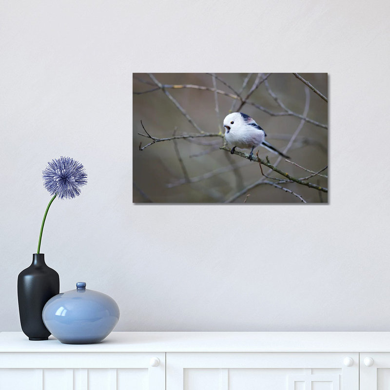Long-Tailed Tit by Mateusz Piesiak - Wrapped Canvas Print, 30.48 cm H x 45.72 cm W