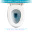 Toilette monobloc en céramique à une chasse avec siège cloisonné