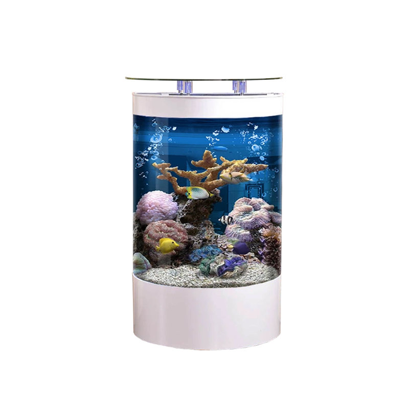 Aquarium 110-118 gallons, 118 gallons (H 54,33 po x l 39,37 po x P 19,69 po), Blanc