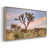 Argent argent