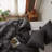 Duvet Cover Set-Button Loop-254117124-204718837