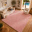 Aunaleigh Solid Colour Shag Area Rug-2034213655