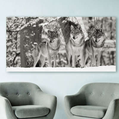 Wolves in the Snow, Germany (Detail, BW) 1 Piece Wrapped Canvas Wall Art