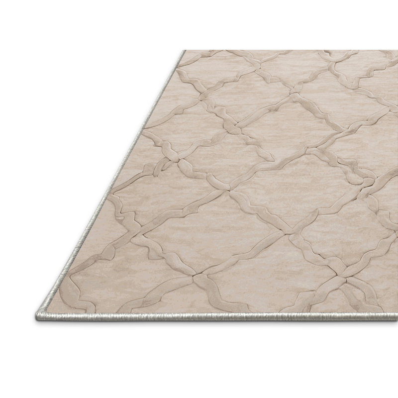 Tapis beige soyeux et moelleux, Rectangle 2 pi x 3 pi