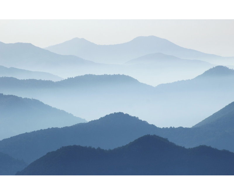 Wrapped Canvas Print, 50.8 cm H x 76.2 cm W