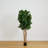 Fiddle Leaf Fig Artificial Tree-260016122