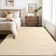 Machine Washable Area Rug with Non Slip TPR Backing, Minimalist Plain Carpet for Living Room Modern Solid Color Dining Room Throw Carpet